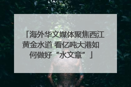 海外华文媒体聚焦西江黄金水道 看亿吨大港如何做好“水文章”