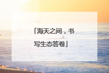 海天之间，书写生态答卷