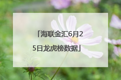 海联金汇6月25日龙虎榜数据