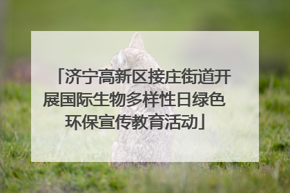 济宁高新区接庄街道开展国际生物多样性日绿色环保宣传教育活动