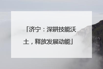 济宁：深耕技能沃土，释放发展动能