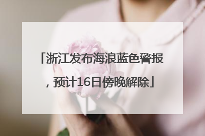 浙江发布海浪蓝色警报，预计16日傍晚解除