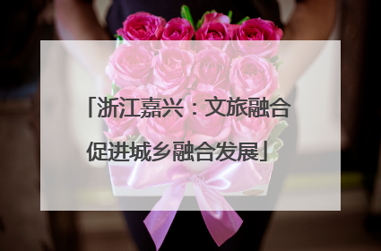 浙江嘉兴：文旅融合促进城乡融合发展