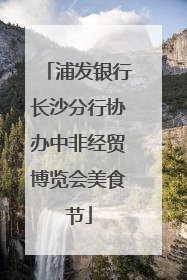 浦发银行长沙分行协办中非经贸博览会美食节