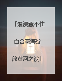 浪漫藏不住 百合花海绽放黄河之滨