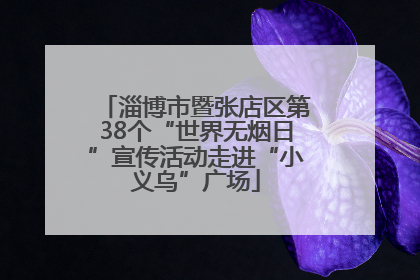 淄博市暨张店区第38个“世界无烟日”宣传活动走进“小义乌”广场