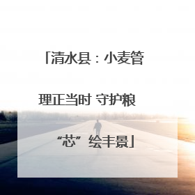 清水县：小麦管理正当时 守护粮“芯”绘丰景