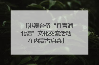 港澳台侨“丹青润北疆”文化交流活动在内蒙古启幕