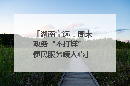 湖南宁远：周末政务“不打烊” 便民服务暖人心