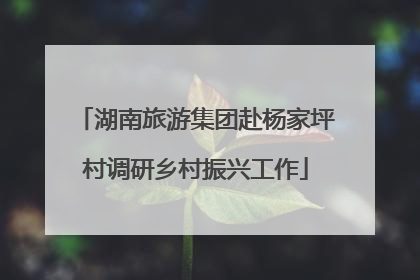 湖南旅游集团赴杨家坪村调研乡村振兴工作