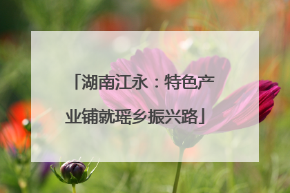湖南江永：特色产业铺就瑶乡振兴路