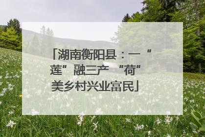 湖南衡阳县：一“莲”融三产 “荷”美乡村兴业富民