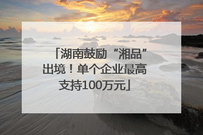 湖南鼓励“湘品”出境！单个企业最高支持100万元