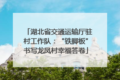 湖北省交通运输厅驻村工作队：“铁脚板”书写龙凤村幸福答卷