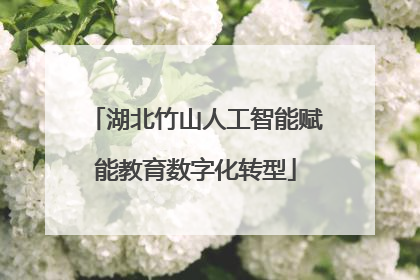 湖北竹山人工智能赋能教育数字化转型