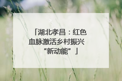 湖北孝昌：红色血脉激活乡村振兴“新动能”