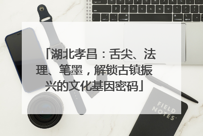湖北孝昌：舌尖、法理、笔墨，解锁古镇振兴的文化基因密码