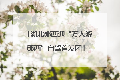 湖北郧西迎“万人游郧西”自驾首发团