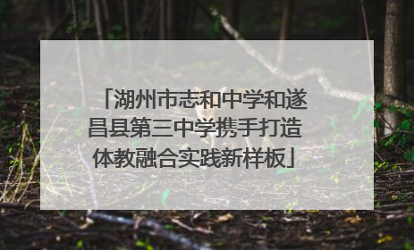 湖州市志和中学和遂昌县第三中学携手打造体教融合实践新样板