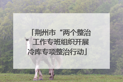 荆州市“两个整治”工作专班组织开展冷库专项整治行动