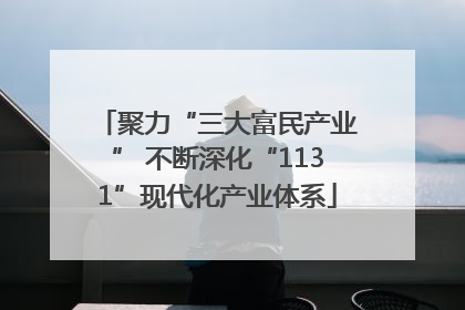 聚力“三大富民产业” 不断深化“1131”现代化产业体系