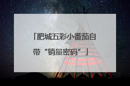 肥城五彩小番茄自带“销量密码”