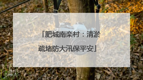 肥城南栾村：清淤疏堵防大汛保平安