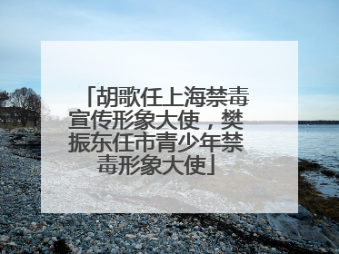 胡歌任上海禁毒宣传形象大使，樊振东任市青少年禁毒形象大使