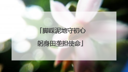 脚踩泥地守初心 躬身田垄担使命