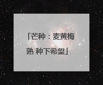 芒种：麦黄梅熟 种下希望