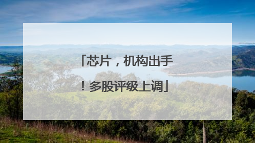 芯片，机构出手！多股评级上调