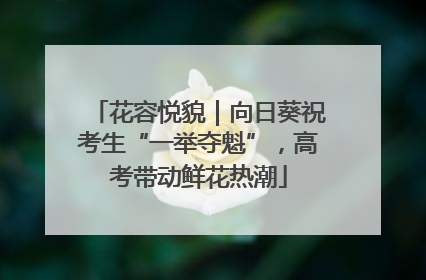 花容悦貌｜向日葵祝考生“一举夺魁”，高考带动鲜花热潮