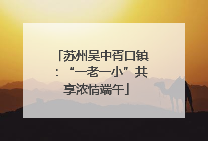苏州吴中胥口镇：“一老一小”共享浓情端午
