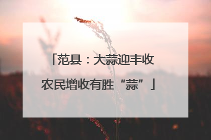 范县：大蒜迎丰收 农民增收有胜“蒜”