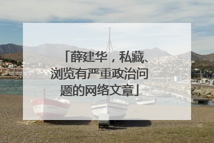薛建华，私藏、浏览有严重政治问题的网络文章
