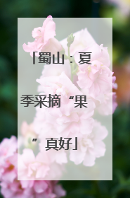 蜀山：夏季采摘“果”真好