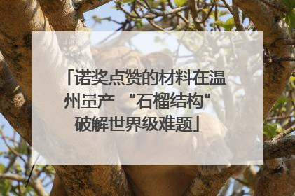 诺奖点赞的材料在温州量产 “石榴结构”破解世界级难题