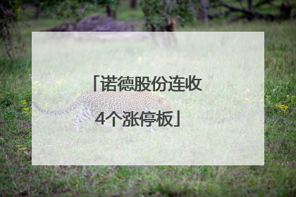 诺德股份连收4个涨停板