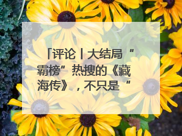 评论丨大结局“霸榜”热搜的《藏海传》，不只是“肖战变了”