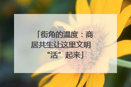 街角的温度：商居共生让这里文明“活”起来