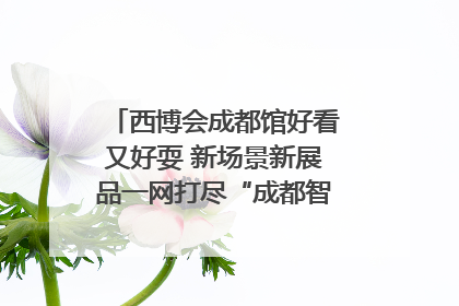 西博会成都馆好看又好耍 新场景新展品一网打尽“成都智造”｜西博视界
