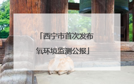 西宁市首次发布氧环境监测公报