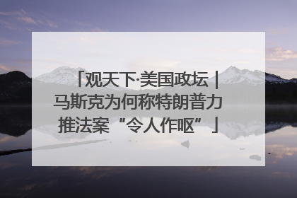 观天下·美国政坛｜马斯克为何称特朗普力推法案“令人作呕”