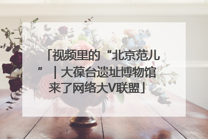 视频里的“北京范儿”｜大葆台遗址博物馆来了网络大V联盟