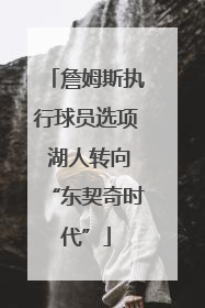 詹姆斯执行球员选项 湖人转向“东契奇时代”