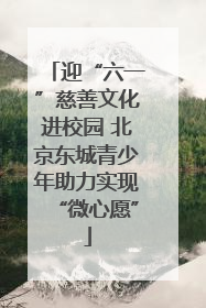 迎“六一”慈善文化进校园 北京东城青少年助力实现“微心愿”