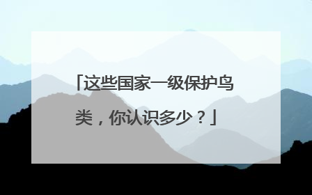 这些国家一级保护鸟类，你认识多少？