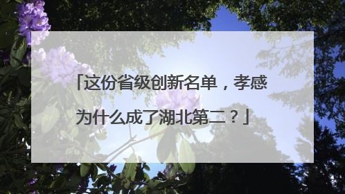 这份省级创新名单，孝感为什么成了湖北第二？