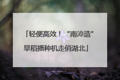 轻便高效！“南漳造”旱稻播种机走俏湖北
