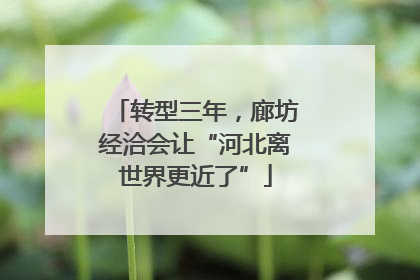 转型三年，廊坊经洽会让“河北离世界更近了”